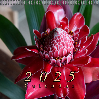 Calendar 2025 Beautiful Flowers